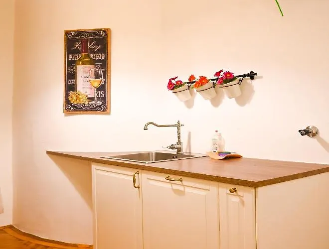 Breathtaking Mozart Apartamento